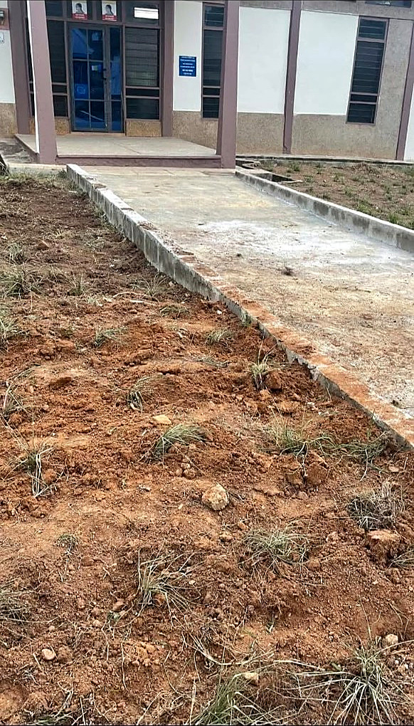 A new concrete walkway to the library entrance